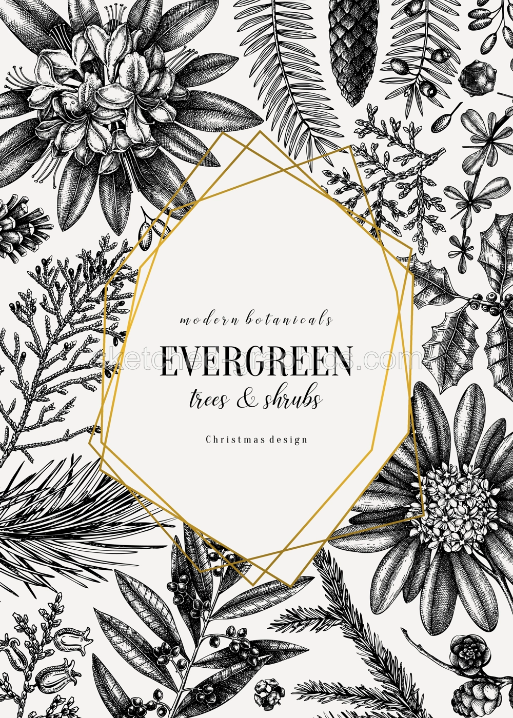 Christmas greeting card or invitation design. Golden foil elements. Vector frame with hand sketched winter flowers, conifers and evergreen plants. Vintage botanical background. Christmas template.   Illustration